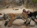 Опитомените тигри от храма Теравад